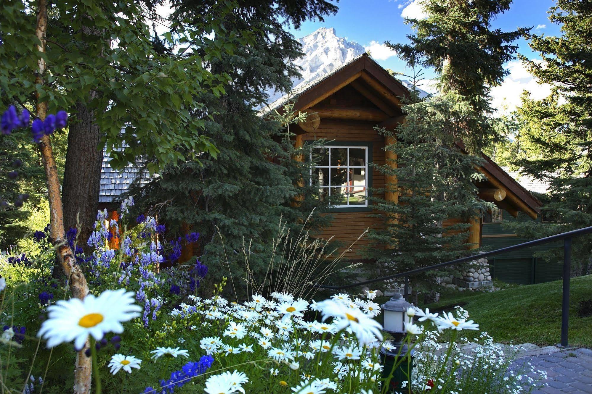 Buffalo Mountain Lodge Banff Exterior foto